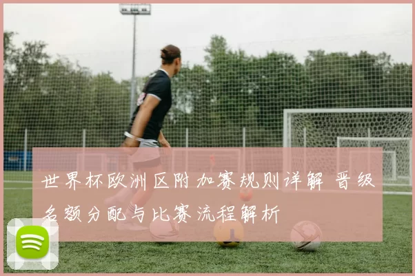 世界杯欧洲区附加赛规则详解 晋级名额分配与比赛流程解析