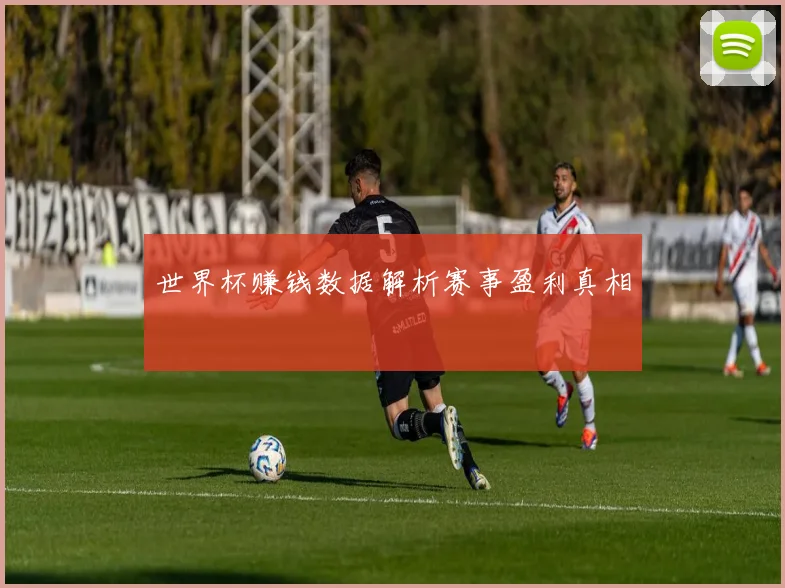 世界杯赚钱数据解析赛事盈利真相