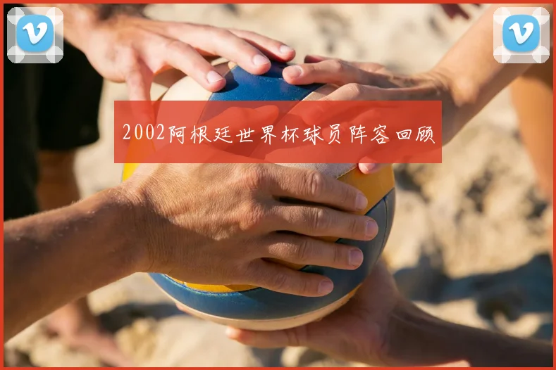 2002阿根廷世界杯球员阵容回顾